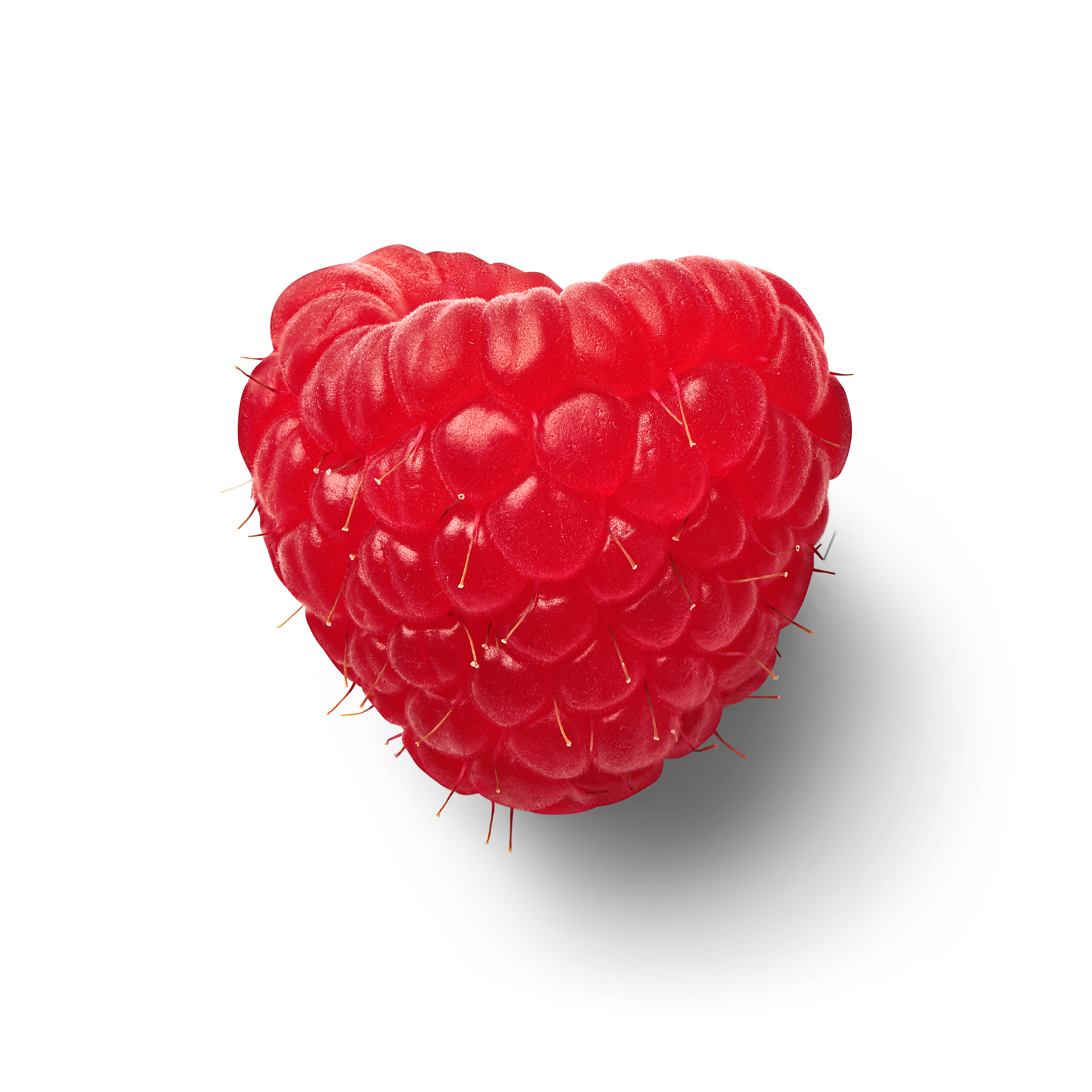 Raspberry topview loose