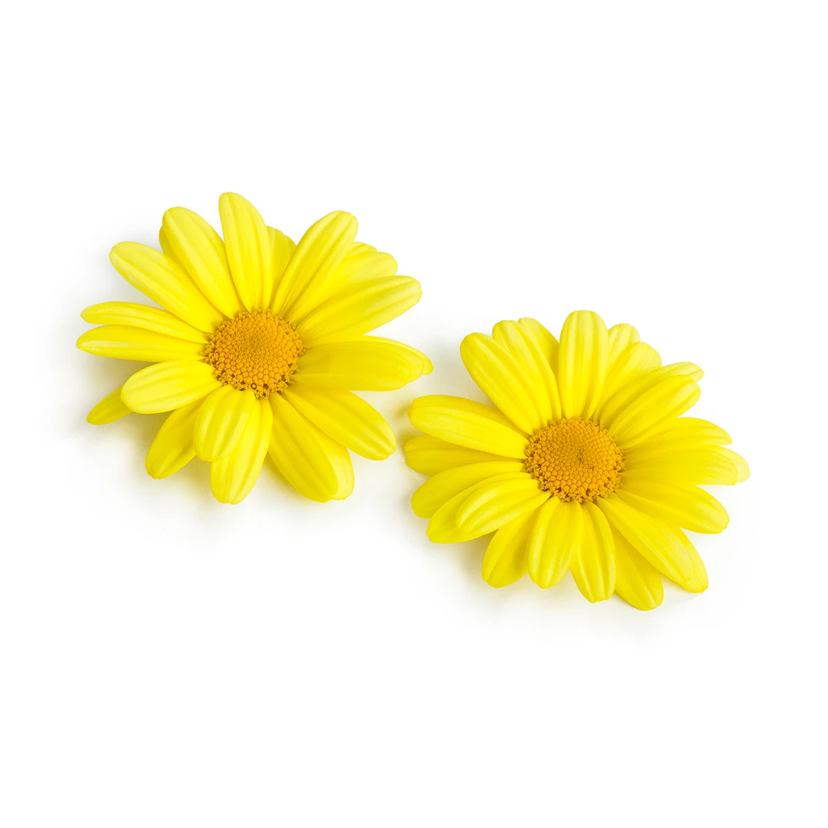 EAT ME Daisies Produktfoto