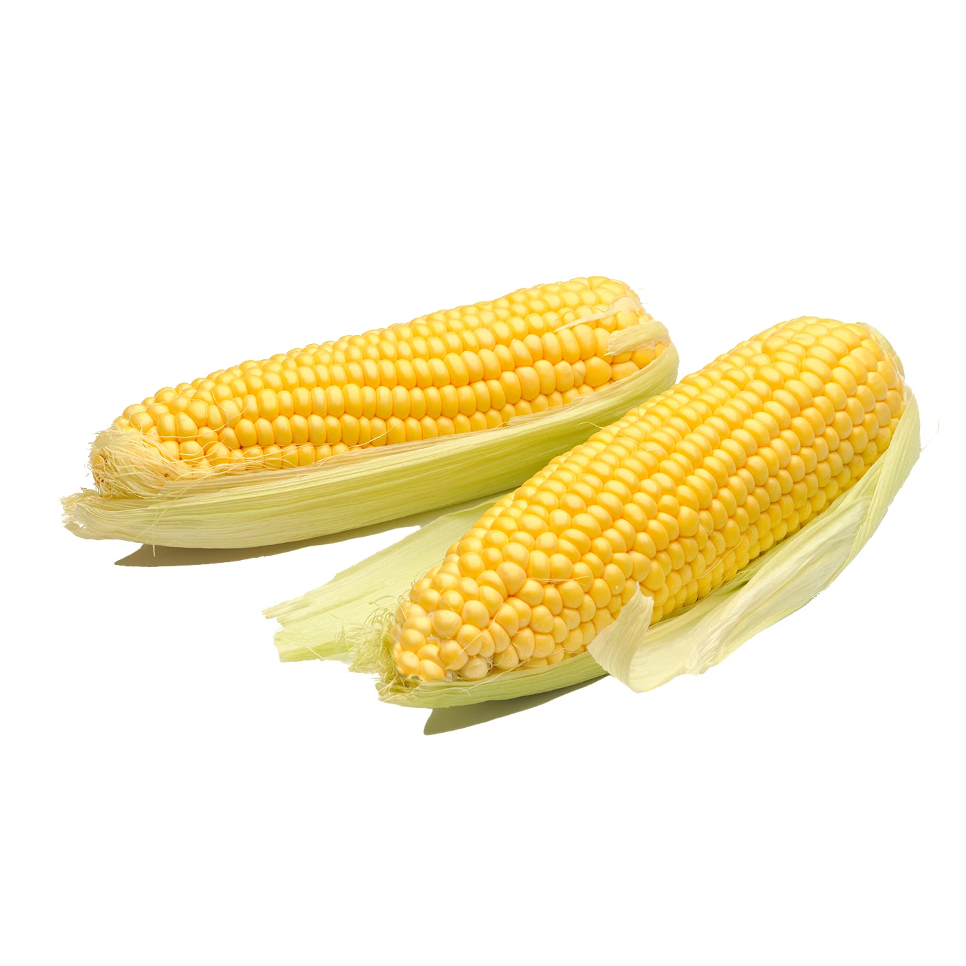 Sweet corn Product photo