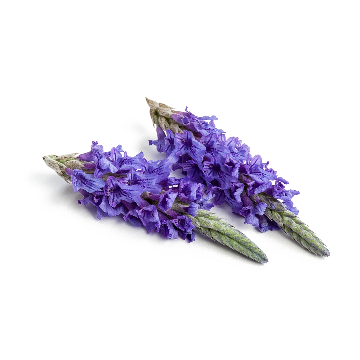 EAT ME Lavendel Produktfoto