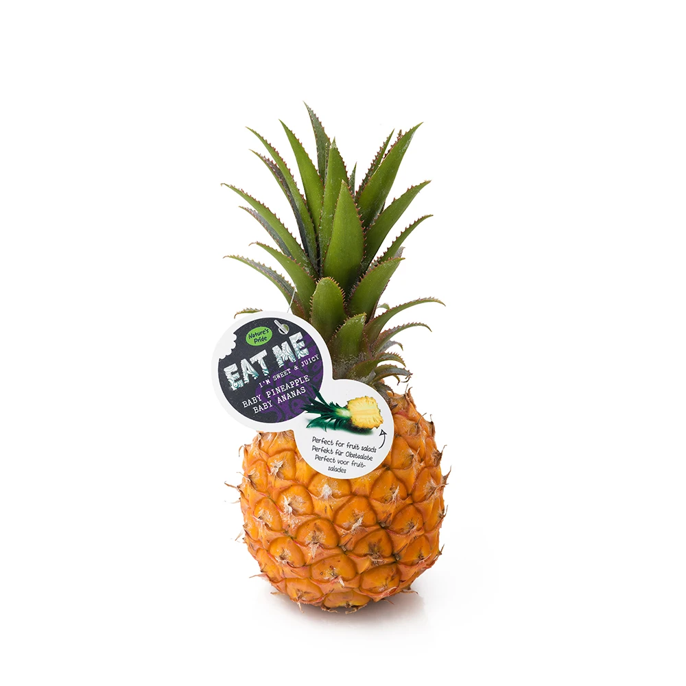 EAT ME Mini Ananas