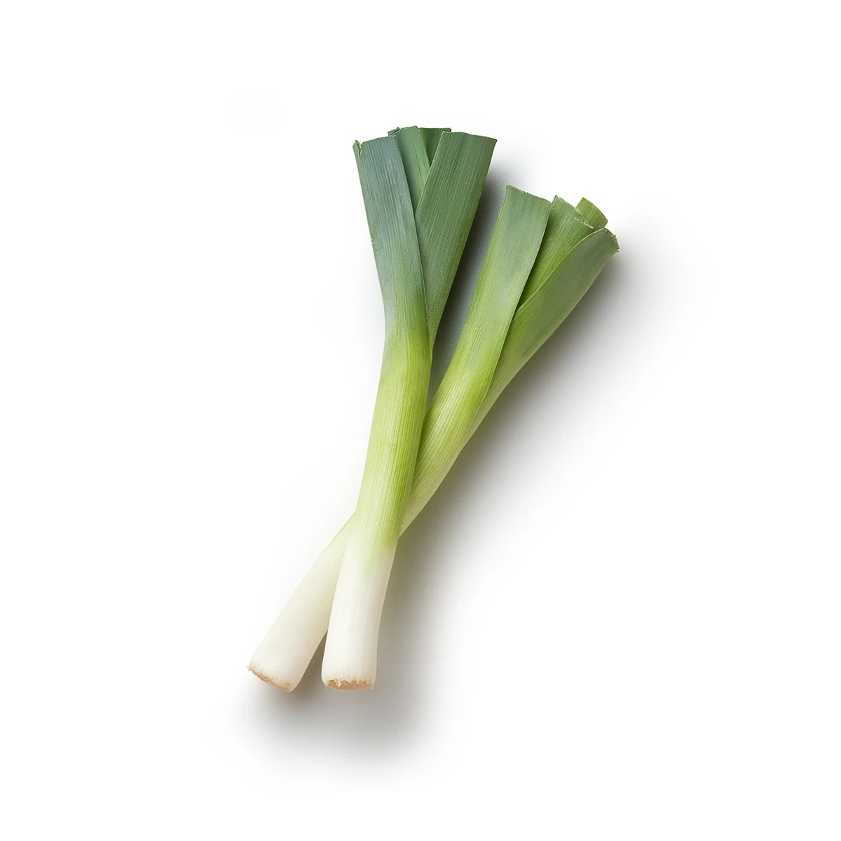 EAT ME Mini Leek Product photo