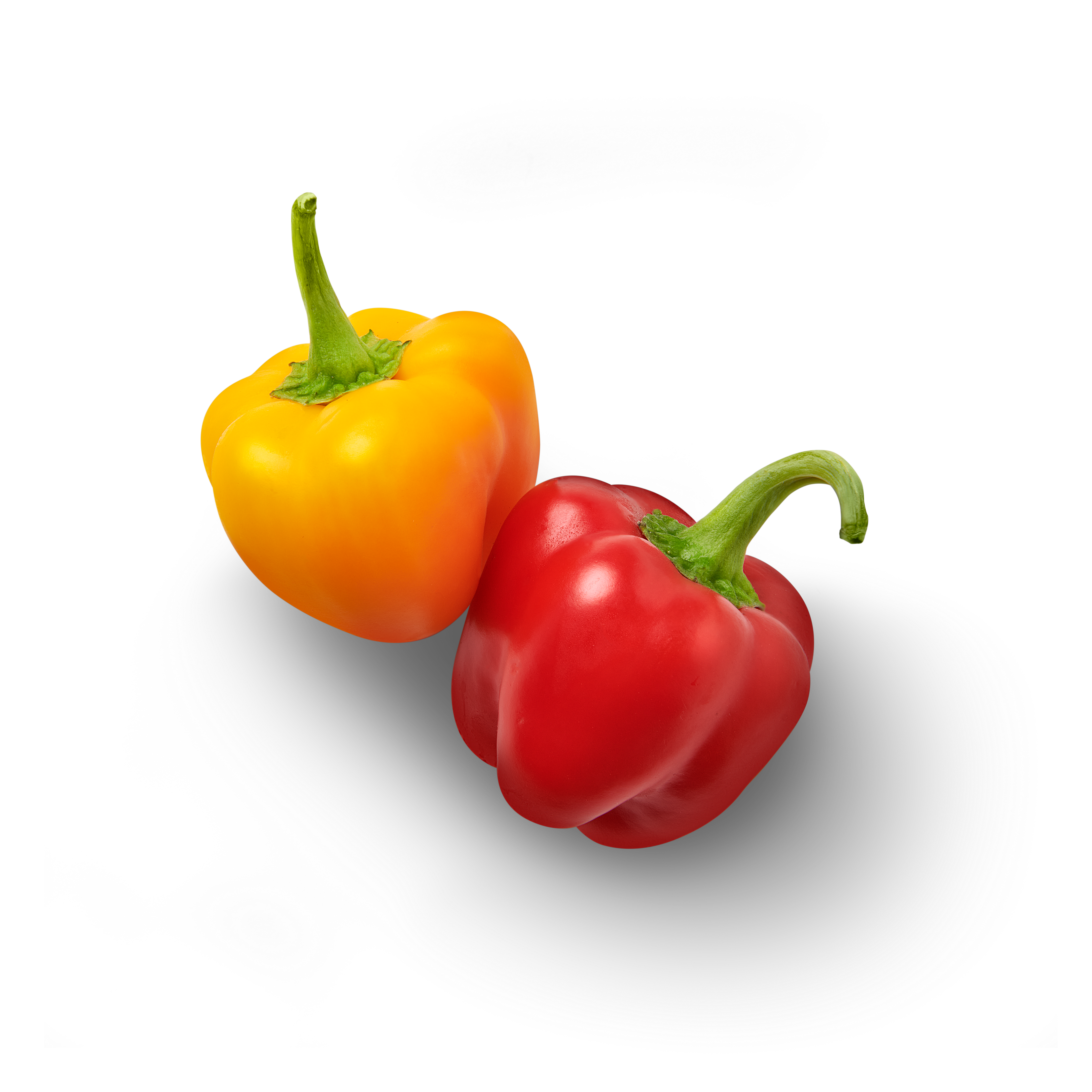 Paprika Mini Topview