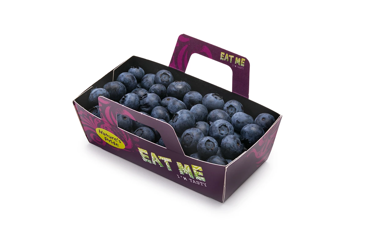 ESSEN SIE MICH Blaubeeren Cardboard Boat