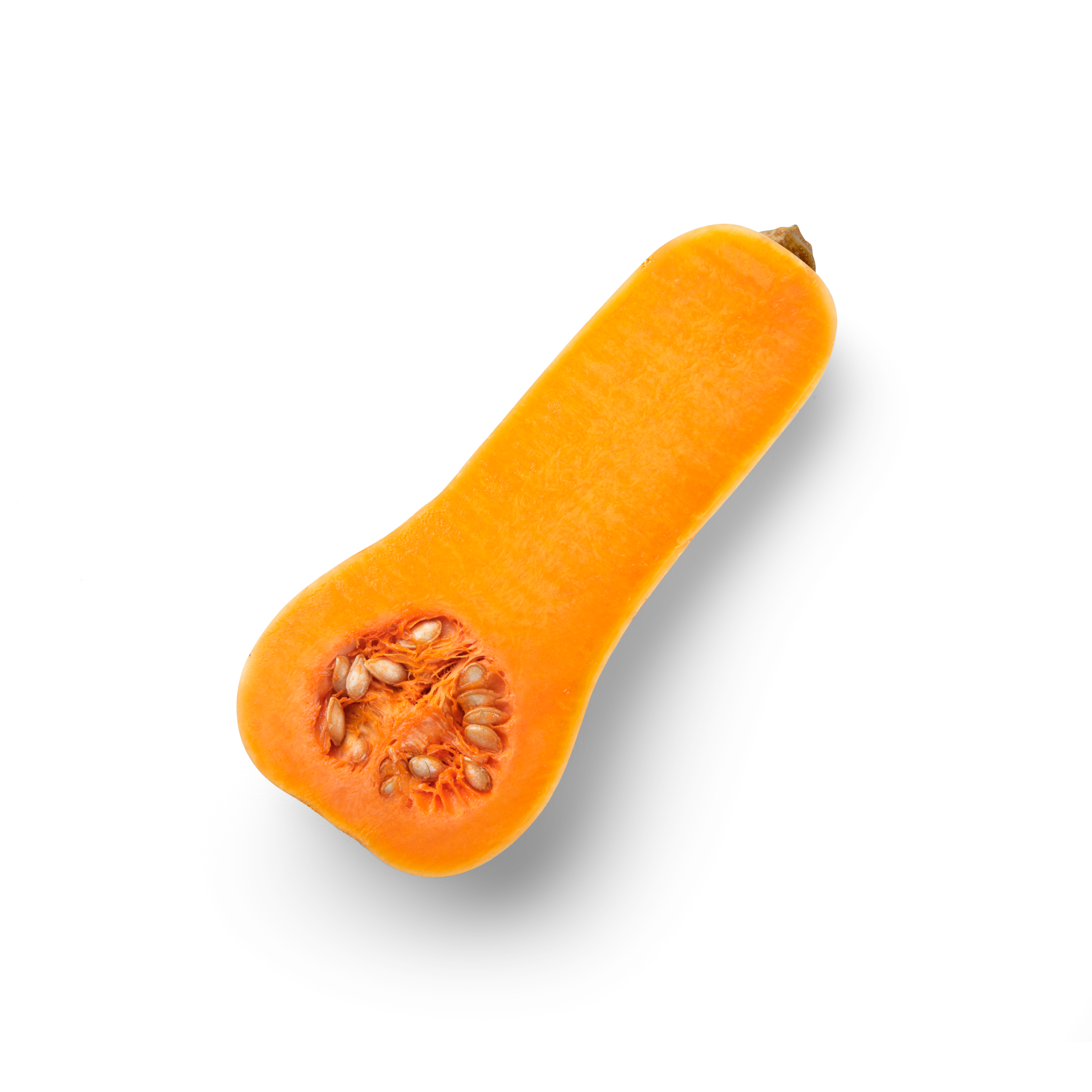 Flespompoen Half Topview