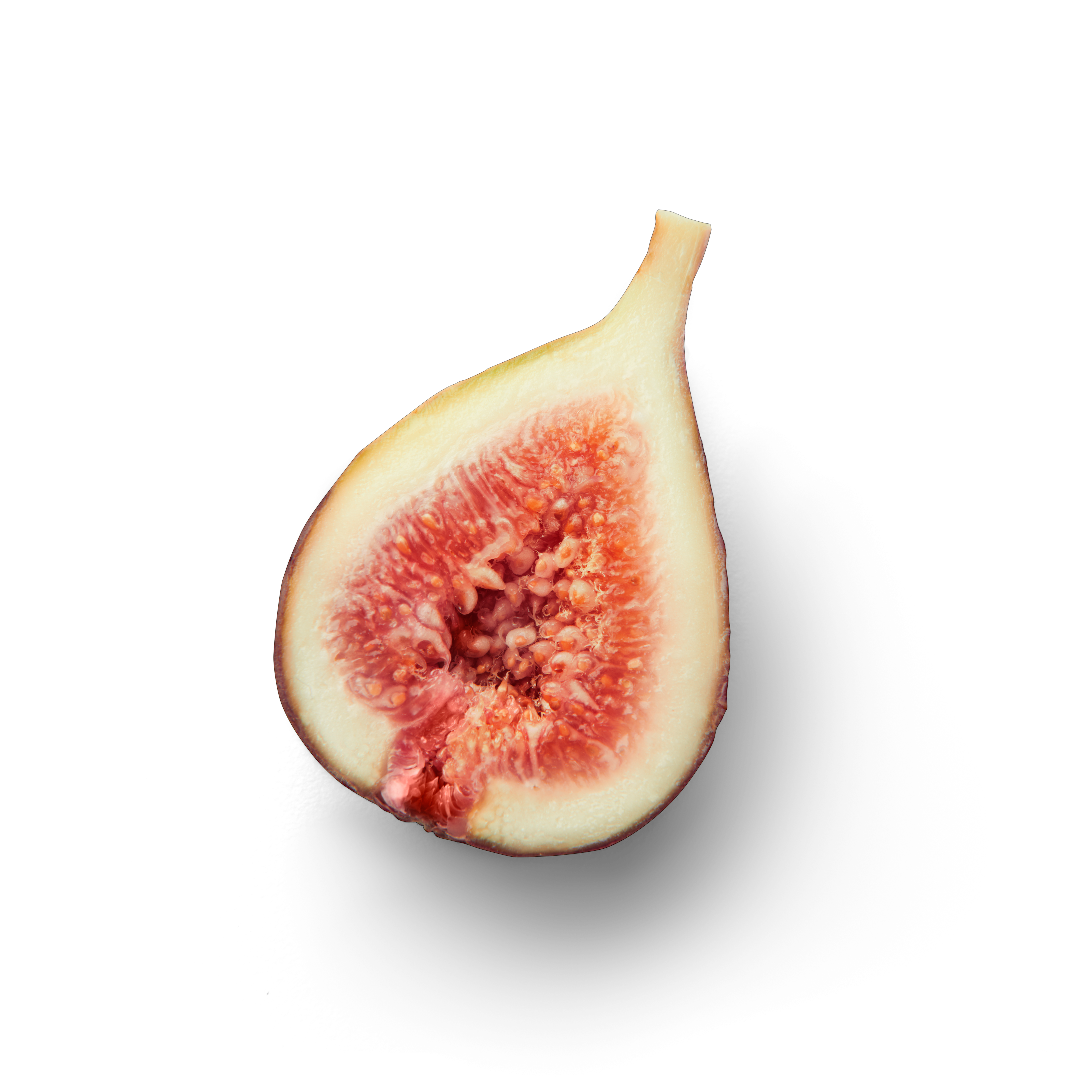Fig half topview