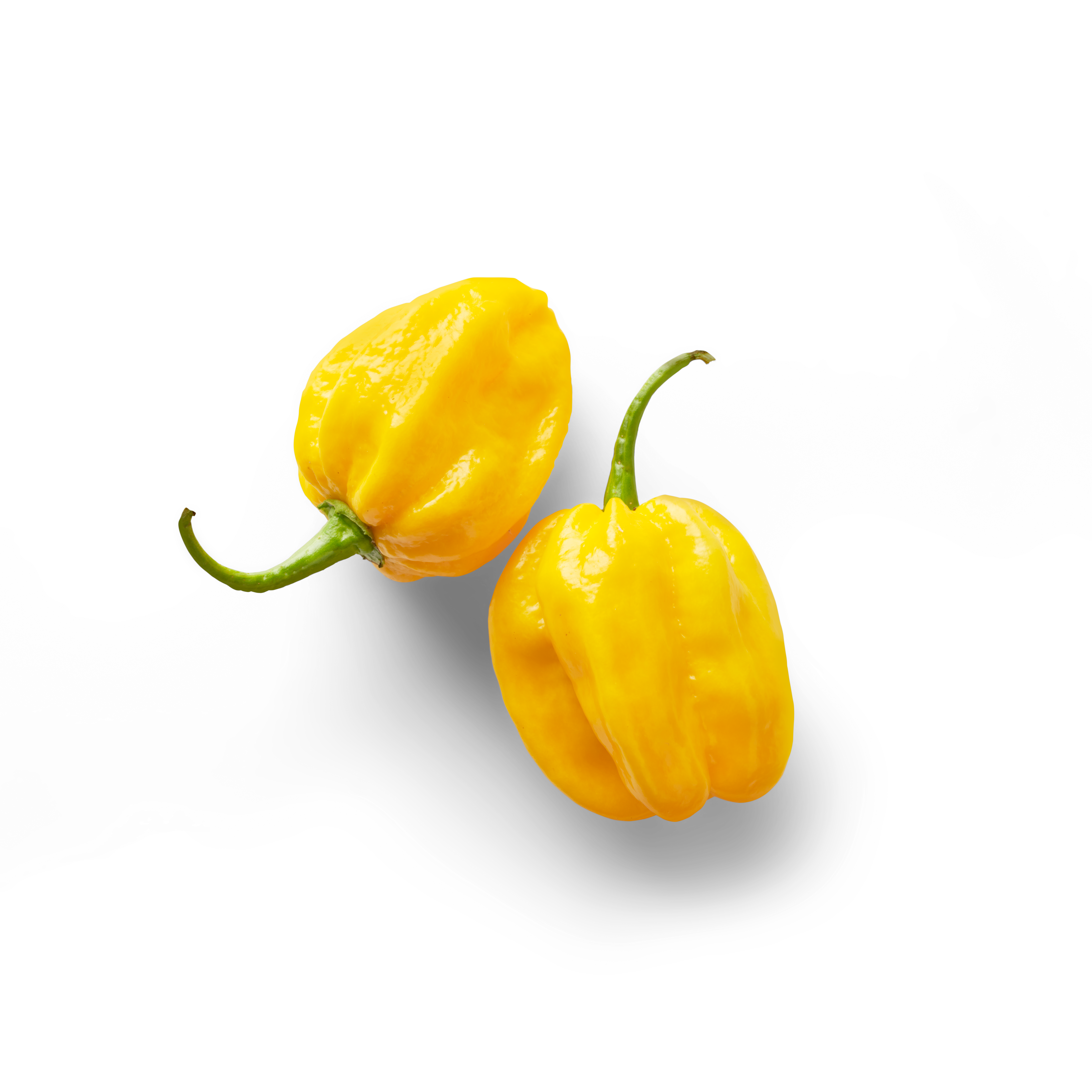 Habanero Geel Topview