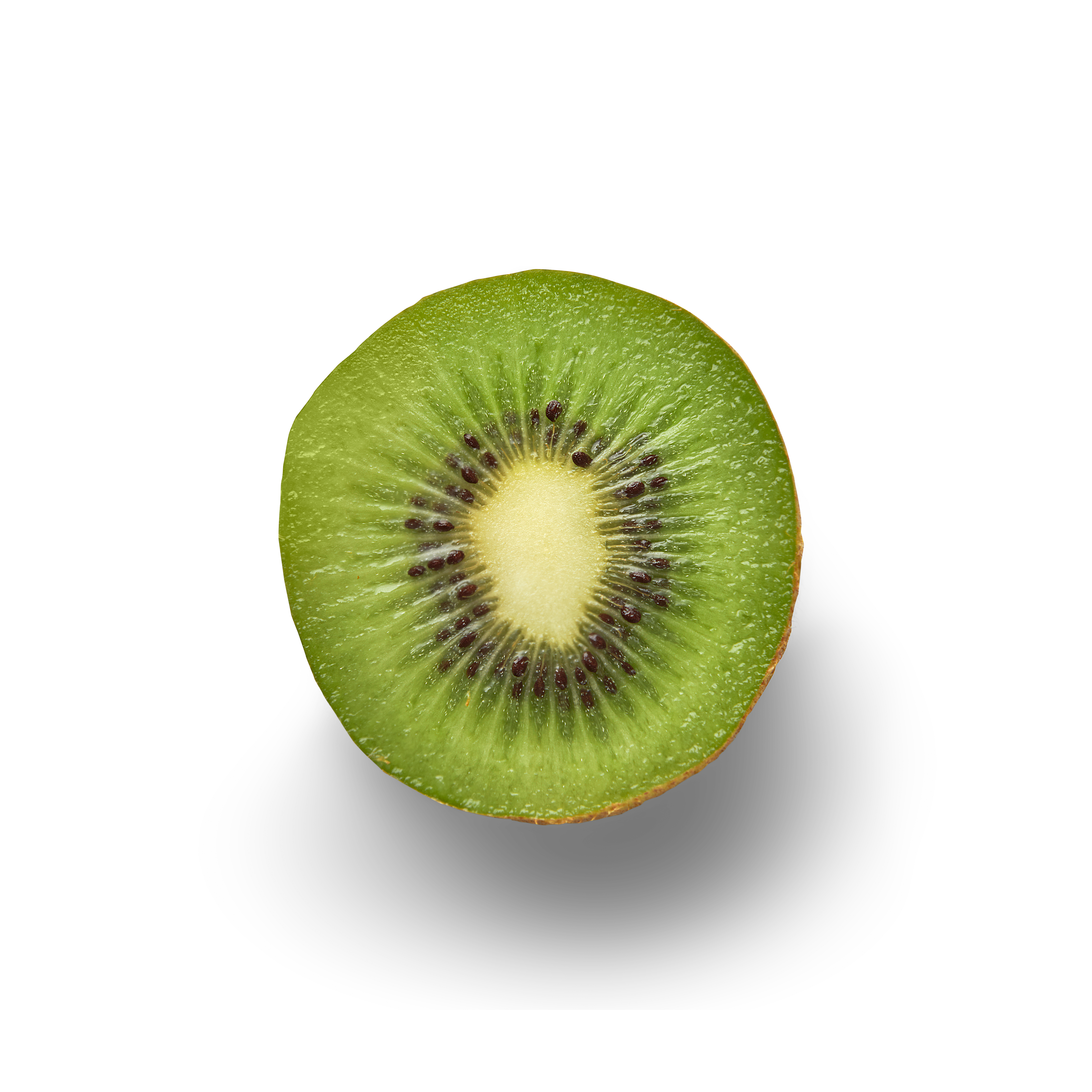 Kiwi Half Topview