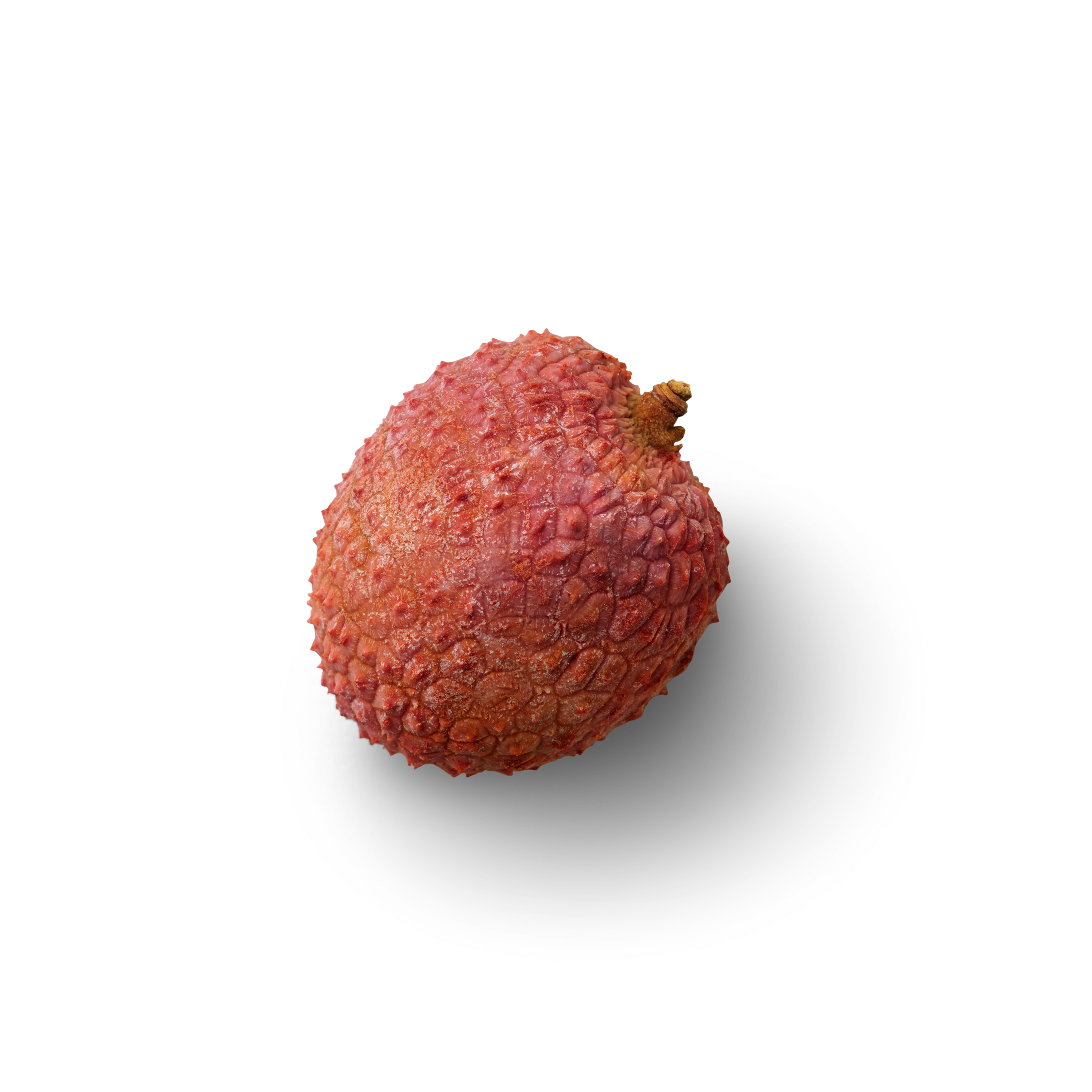 Lychee loose Topview
