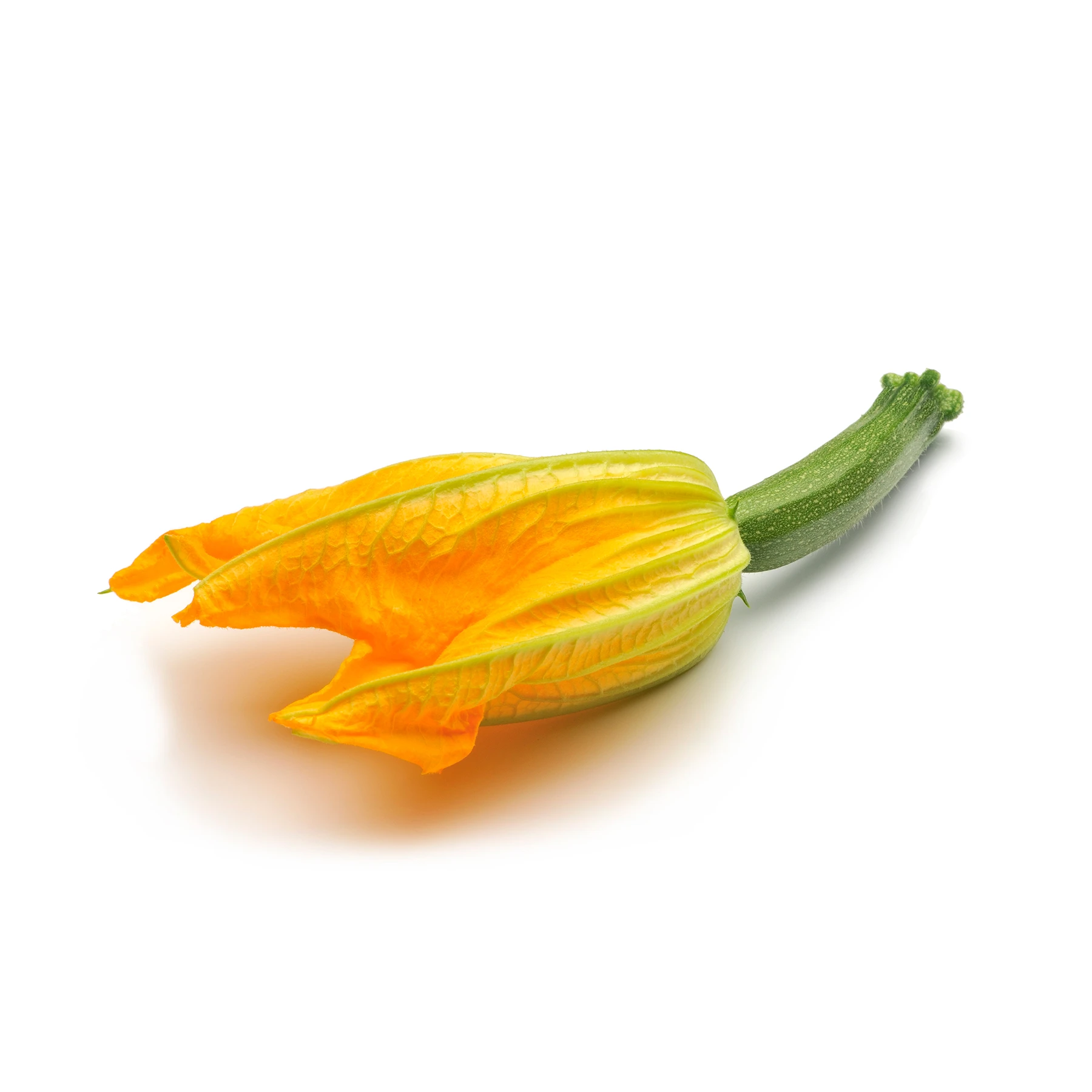 EAT ME Courgettebloem Produktfoto