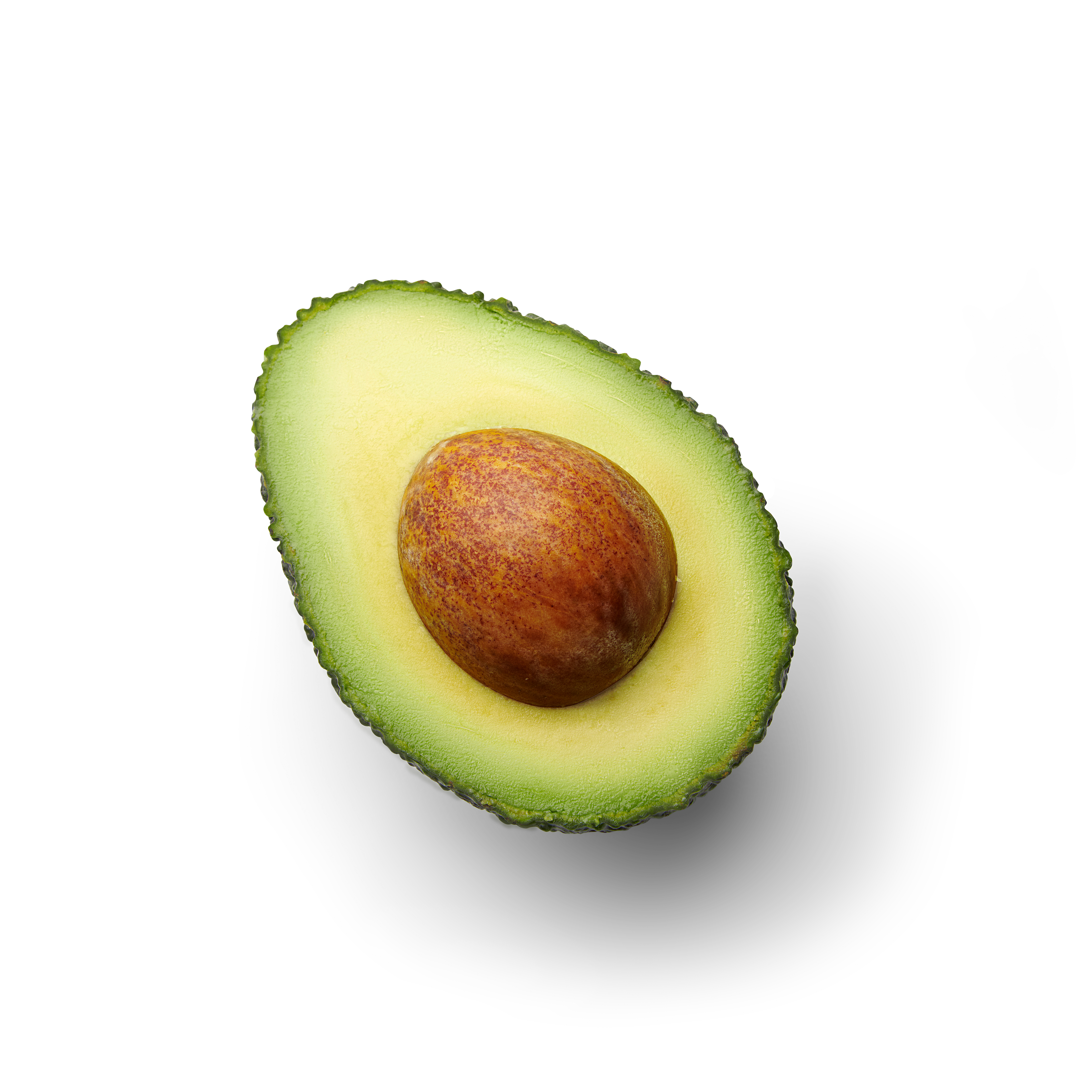 Half avocado topview