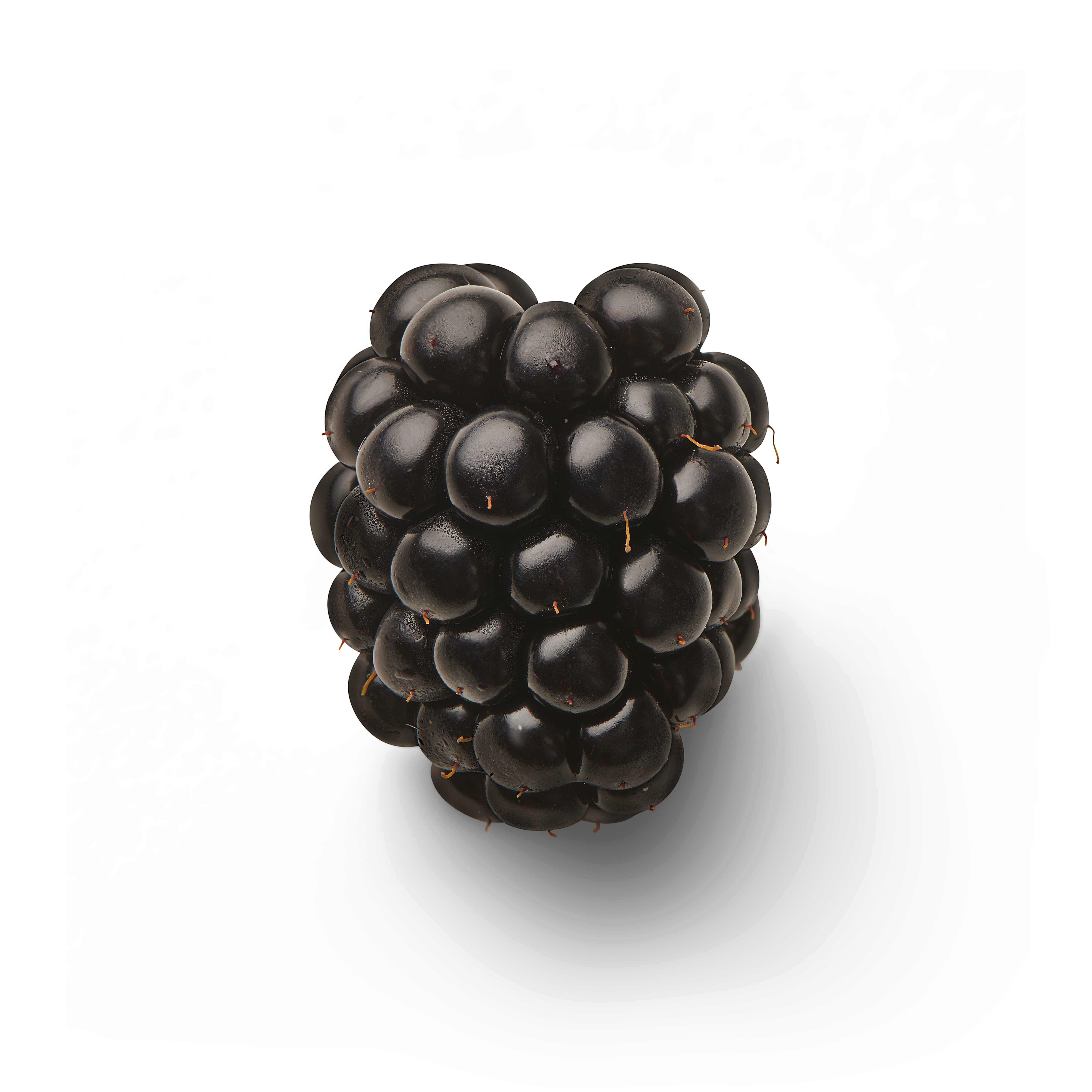 Blackberry