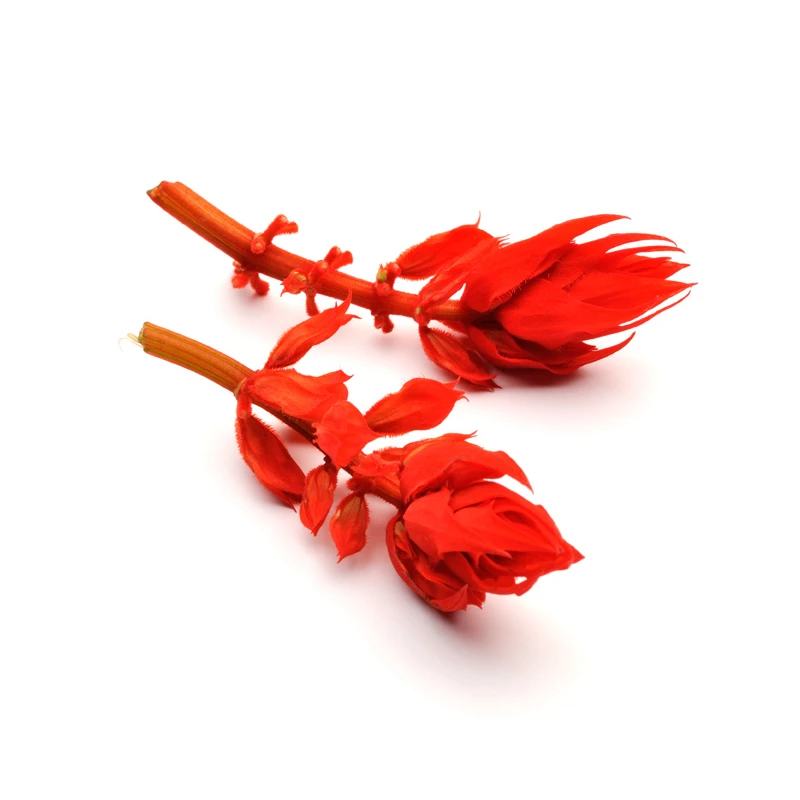 EAT ME Salbei Blume Produktfoto