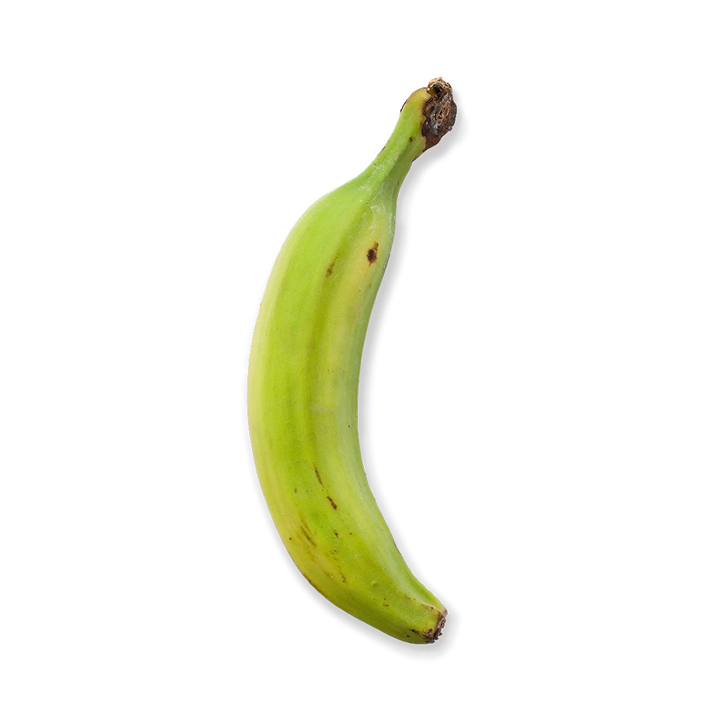 Plantain loose topview