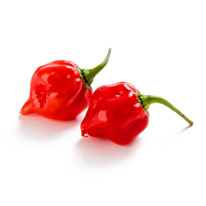 EAT ME Trinidad Scorpion Produktfoto