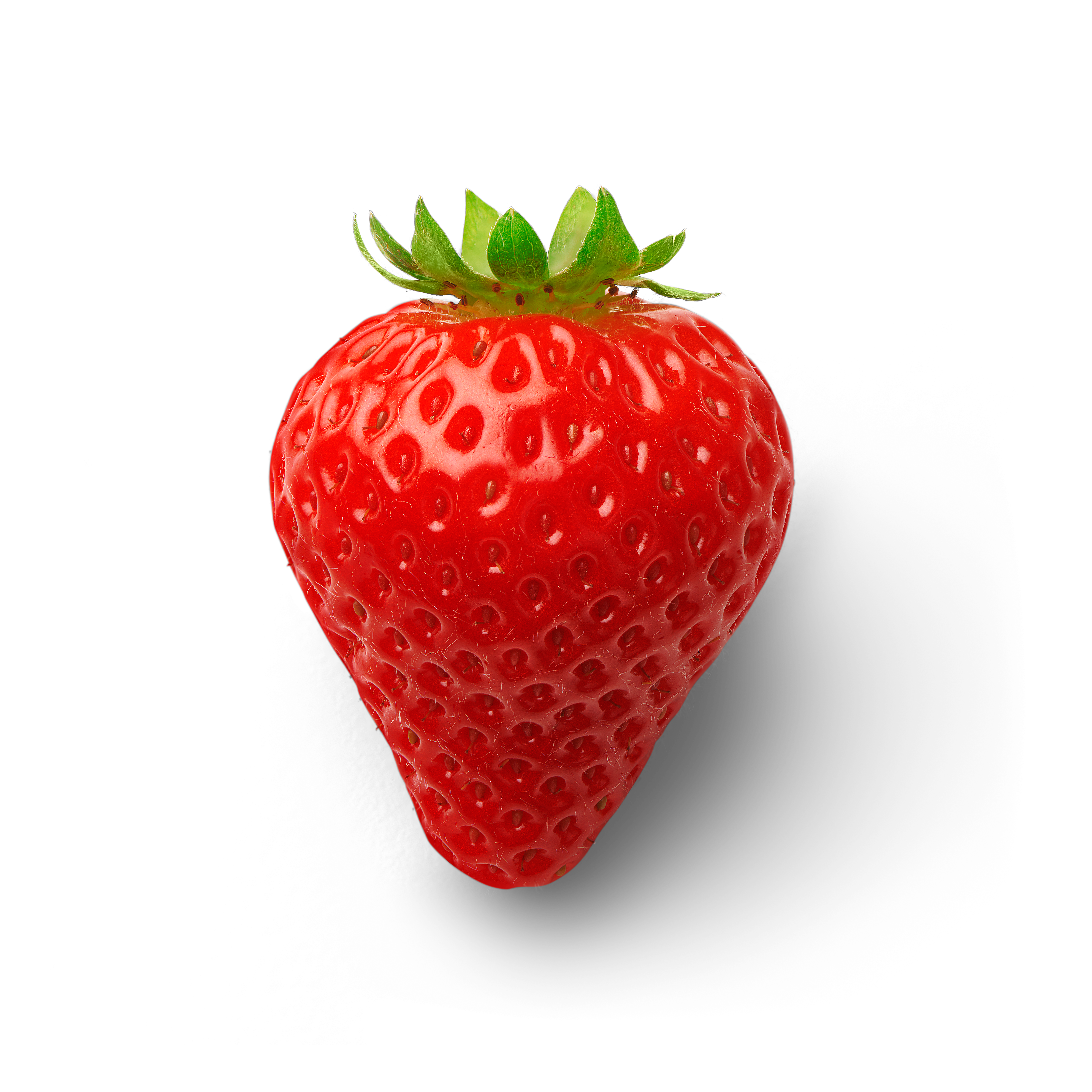 Erdbeere Topview