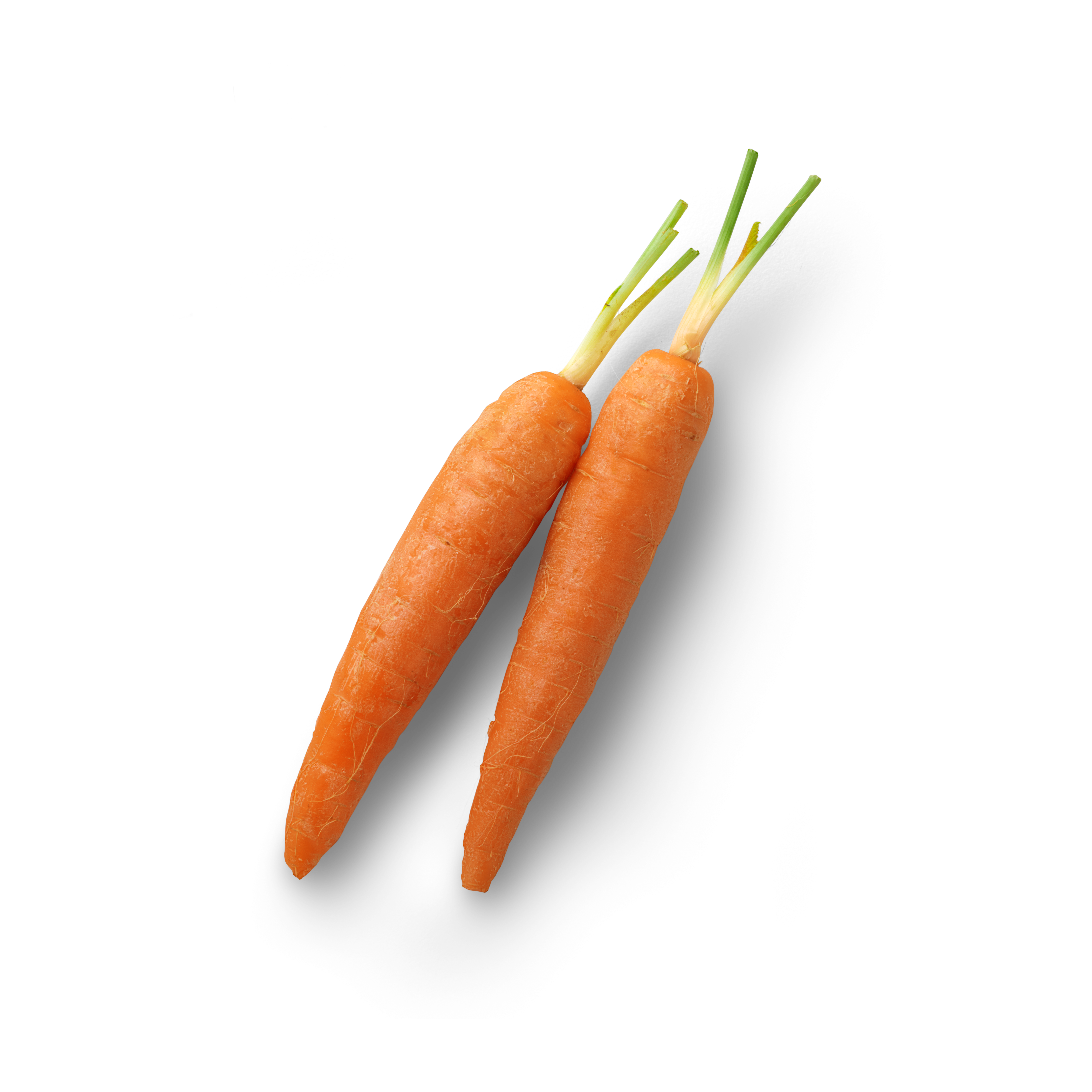 Mini Carrot Topview