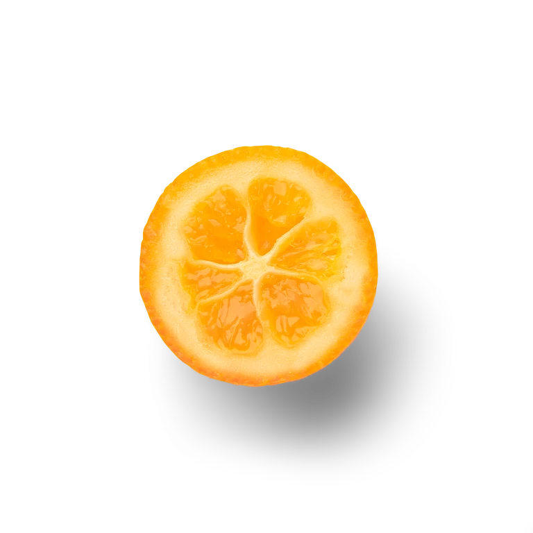 Kumquat Half Topview