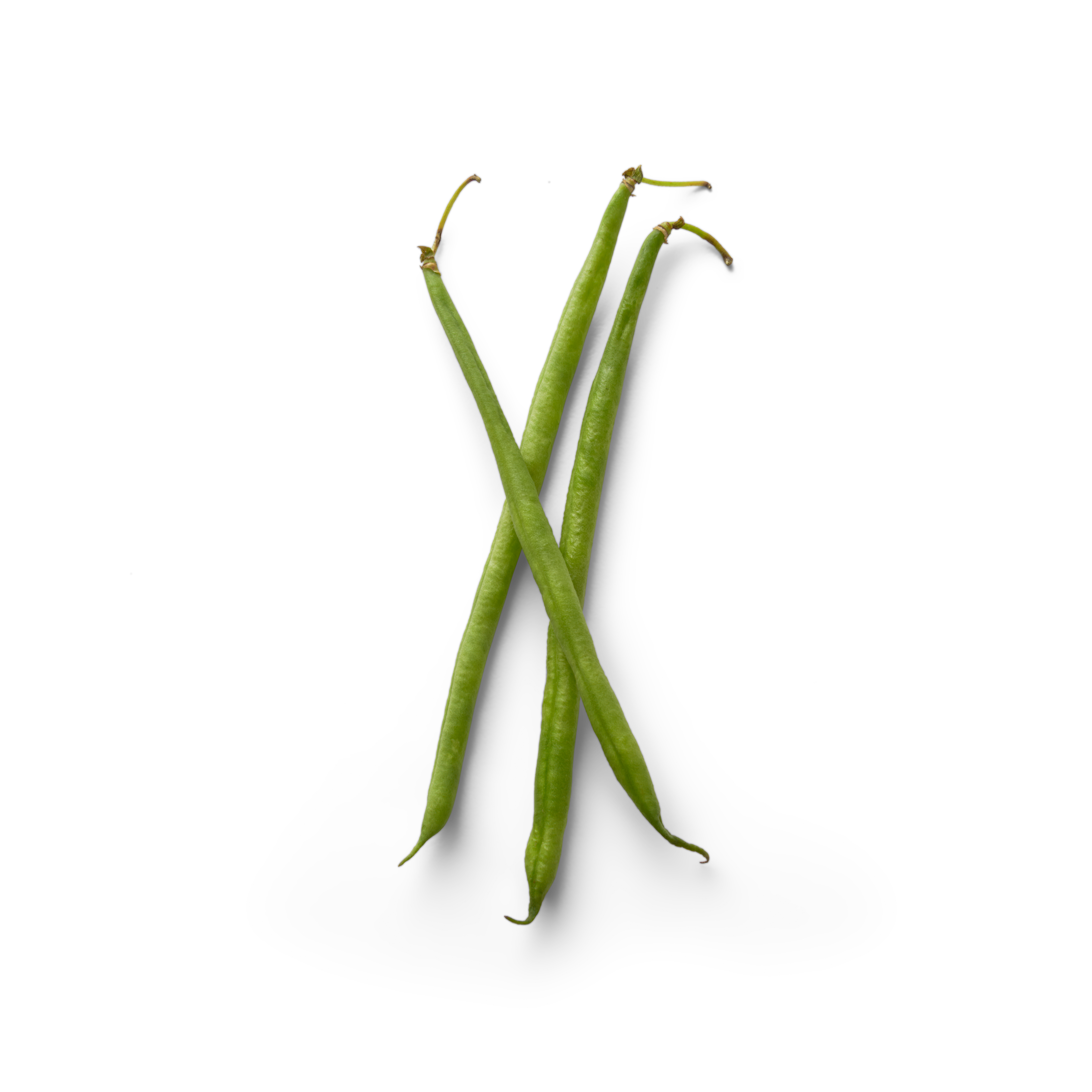 Haricot Vert  Topview