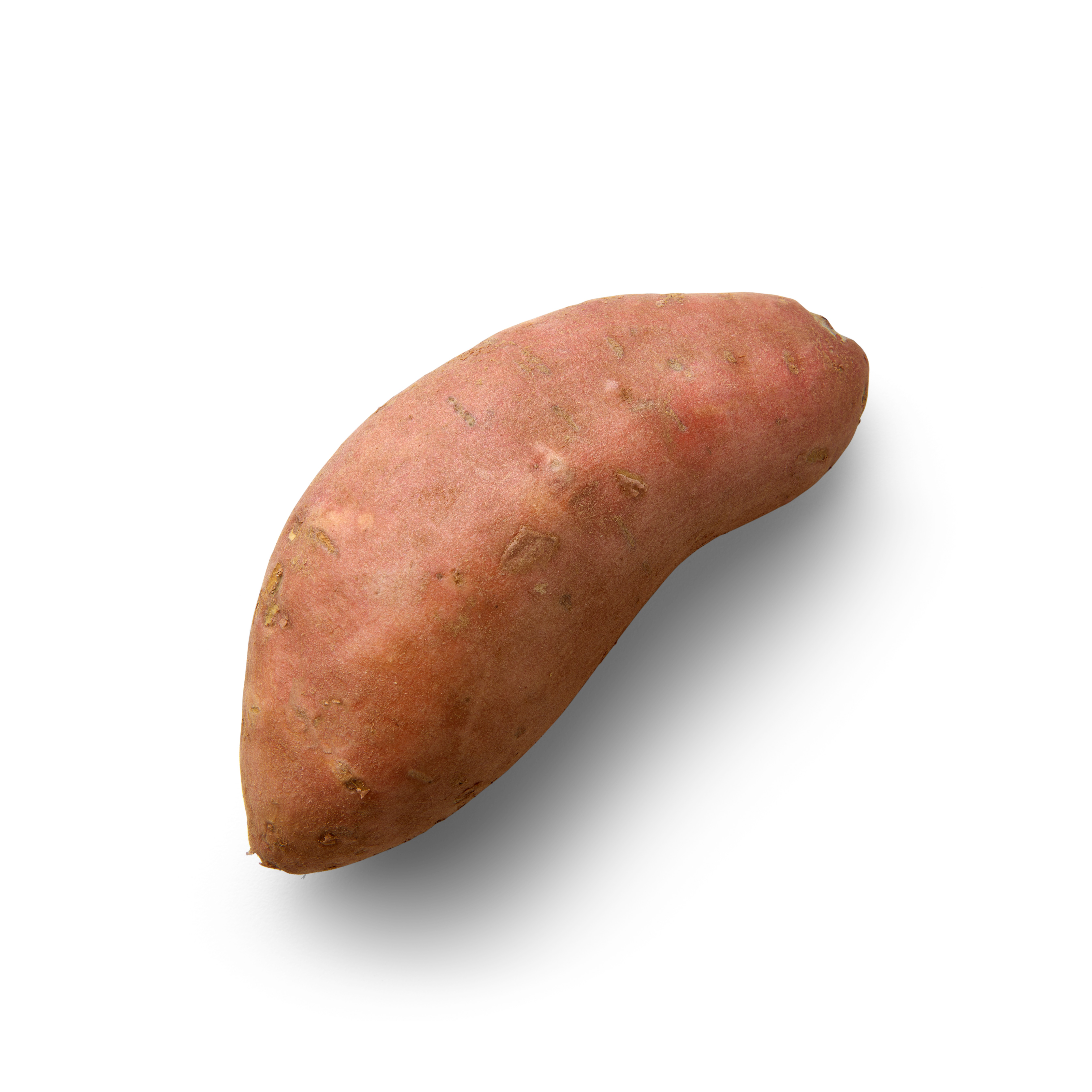 Sweet Potato Topview
