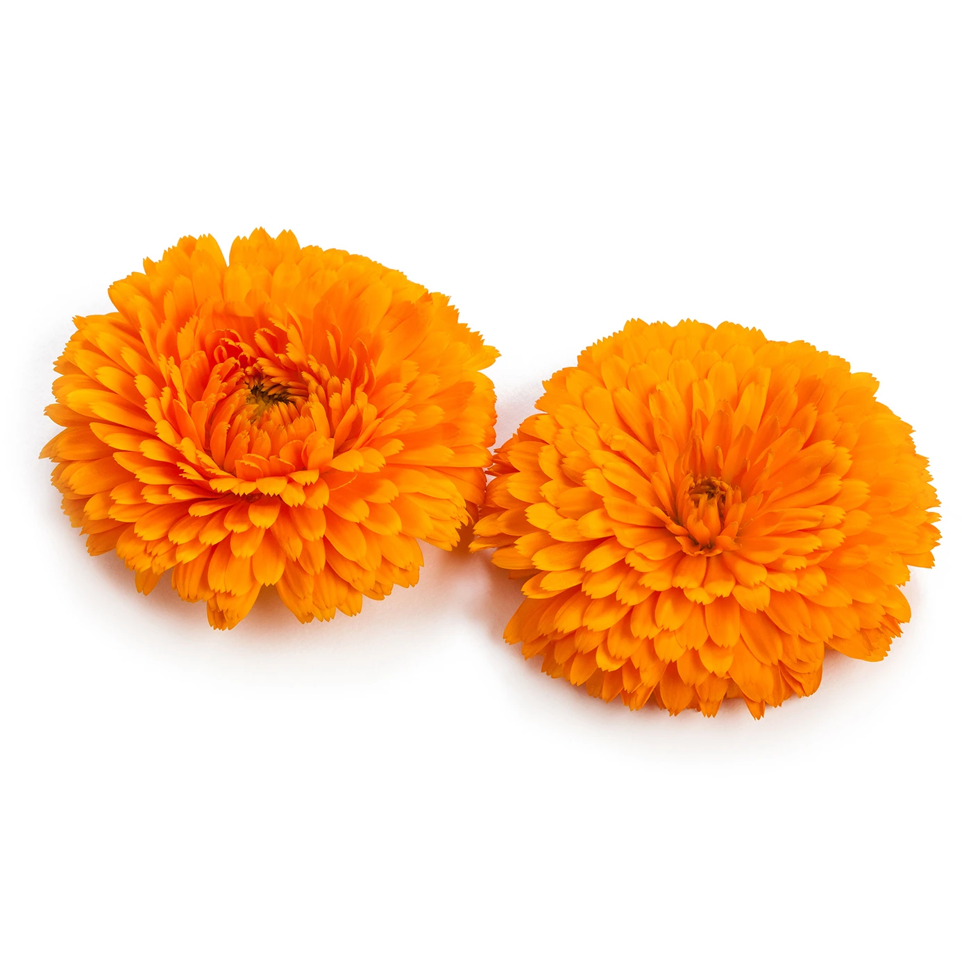 EAT ME Calendula Produktfoto