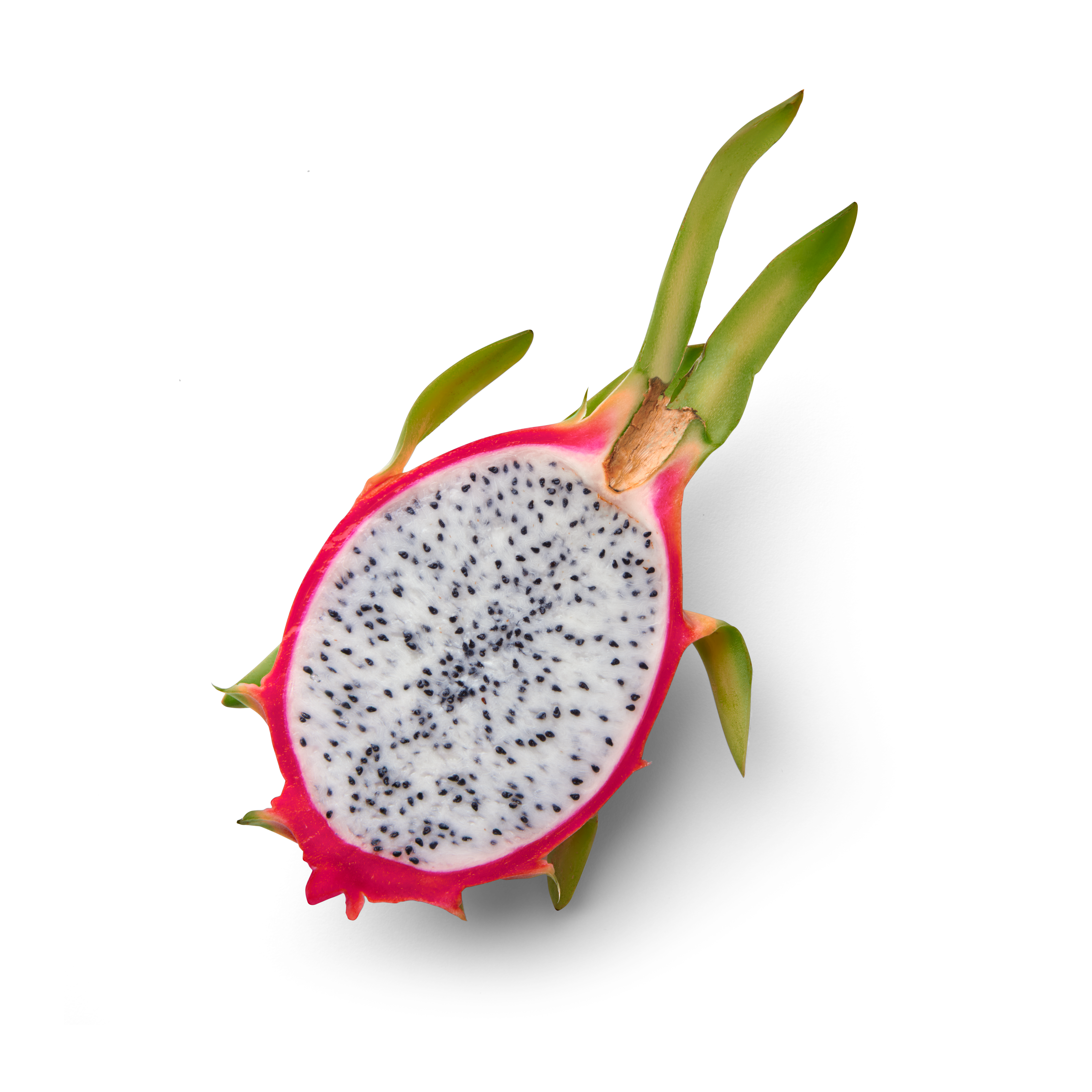 Pitahaya Half Topview