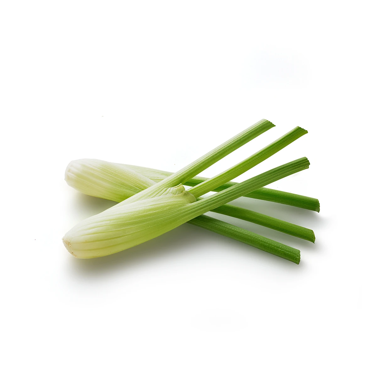 EAT ME Mini Fennel Product photo