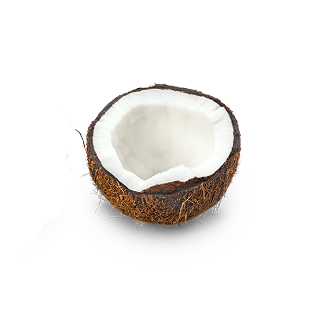 Kokosnuss